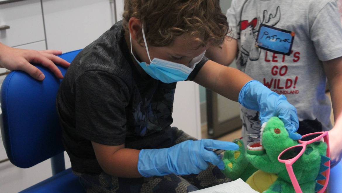 Sugar Bugz Be Gone! Summer Camps